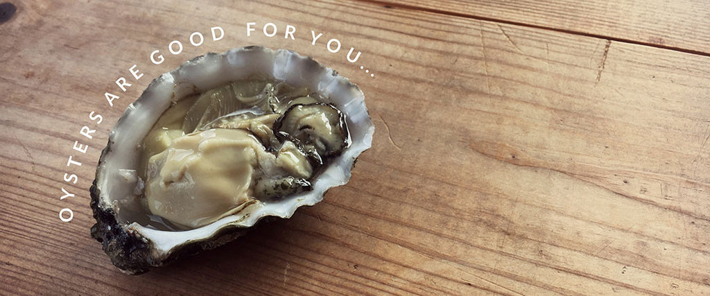 Why oysters are good for you