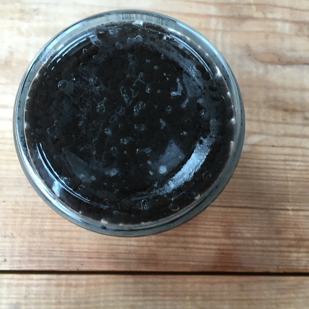 Herring Roe Colchester Oyster Fishery