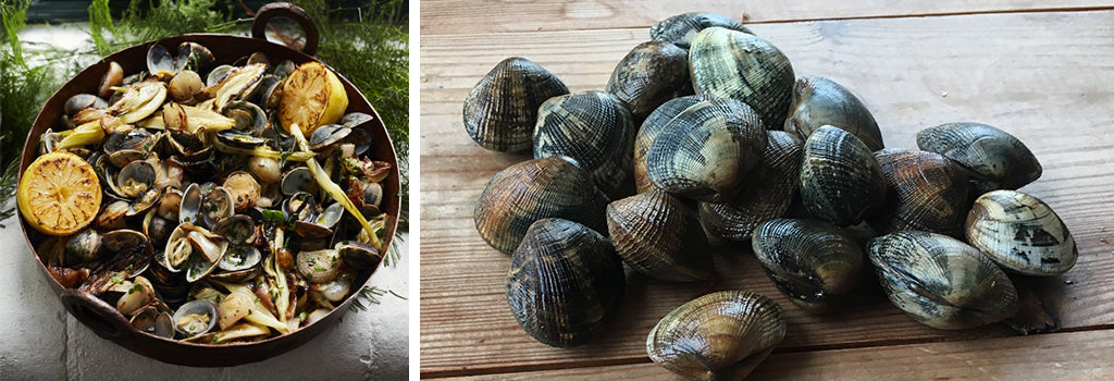 Baked Clams with Roasted Shallots and Fennel