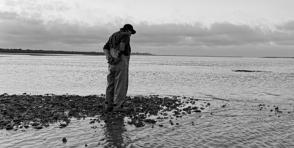 How We Grow Oysters