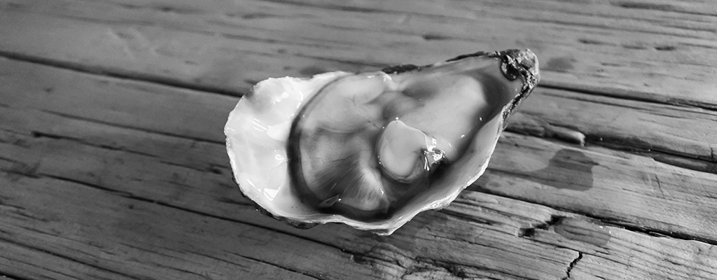 The Colchester Pyefleet Oyster