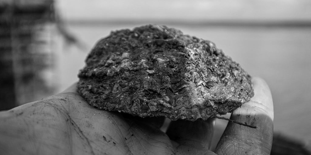 How We Used to Dredge Oysters