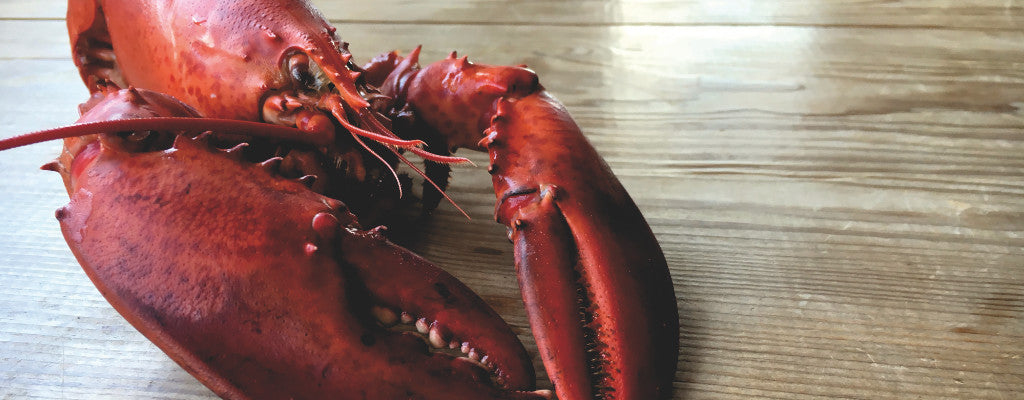 Let's Talk Canadian Lobsters