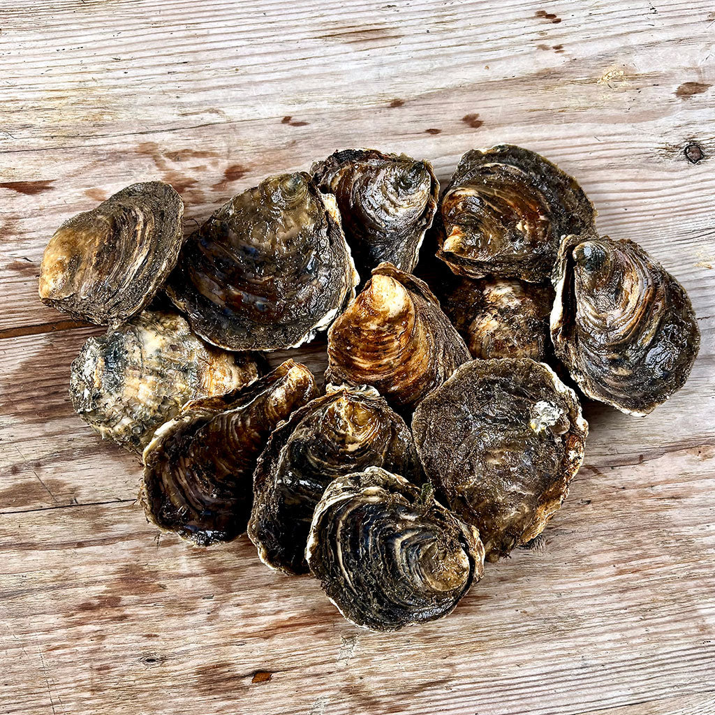 Stack of raw oysters on a wooden surface