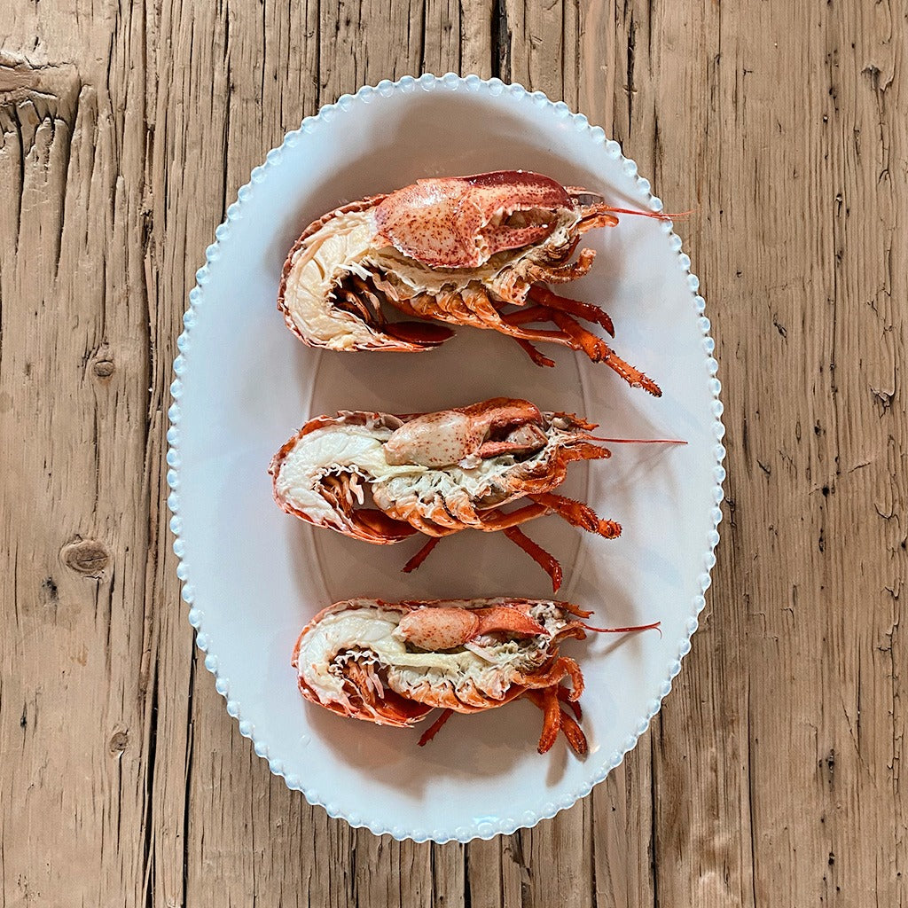 Small, medium and large dressed Canadian lobsters