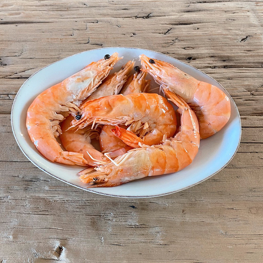 Medium Crevettes