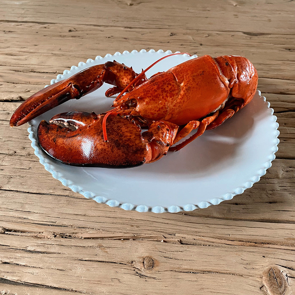 Large Cooked Canadian Lobster