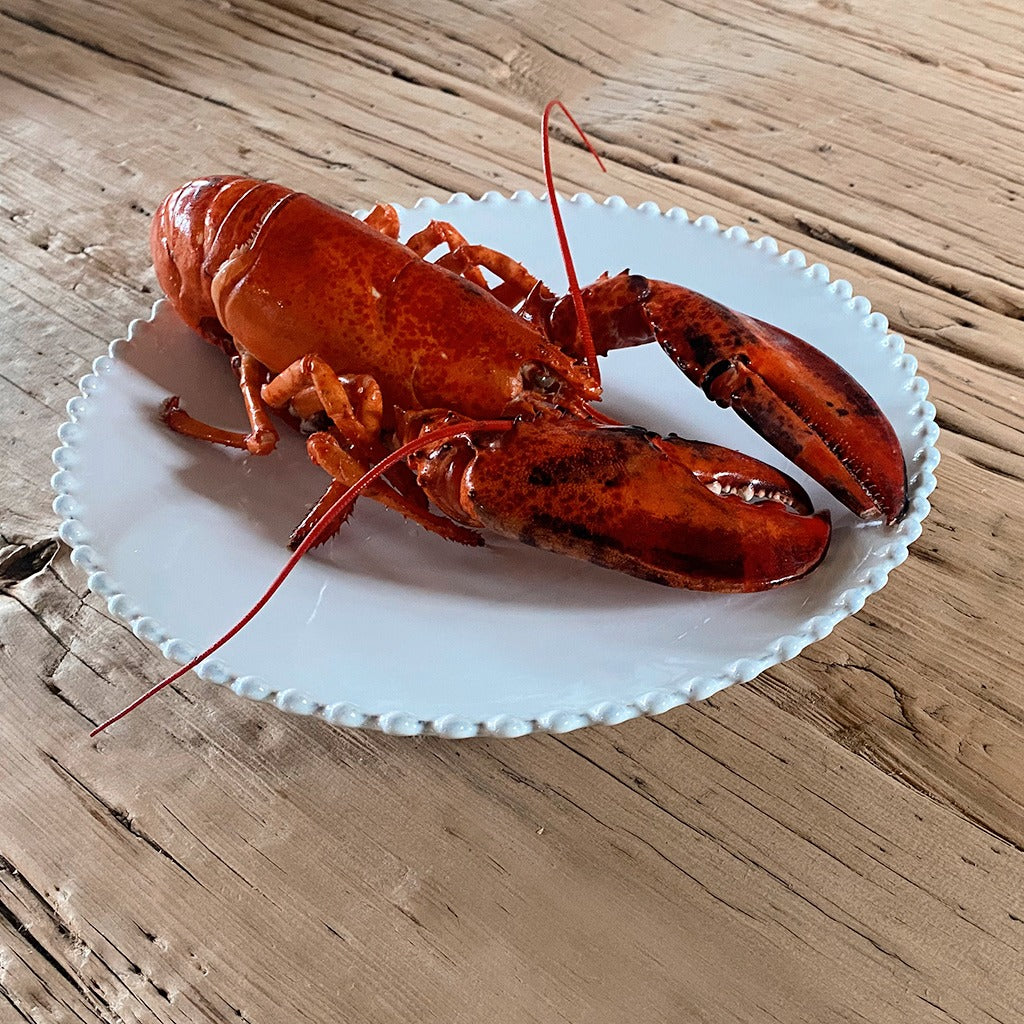 Medium Cooked Canadian Lobster
