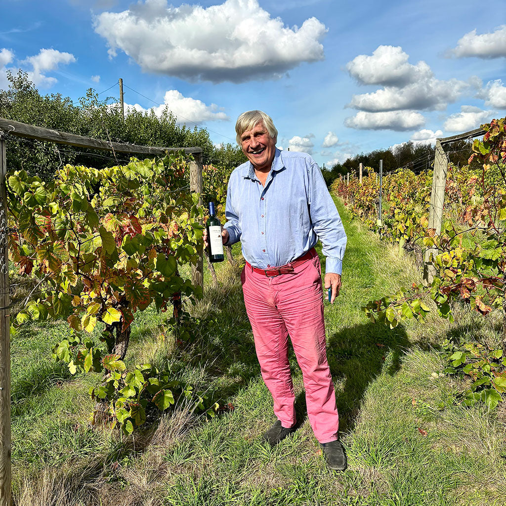 Man standing in a vineyard holding a bottle of wine with a blue sky and clouds in the background.