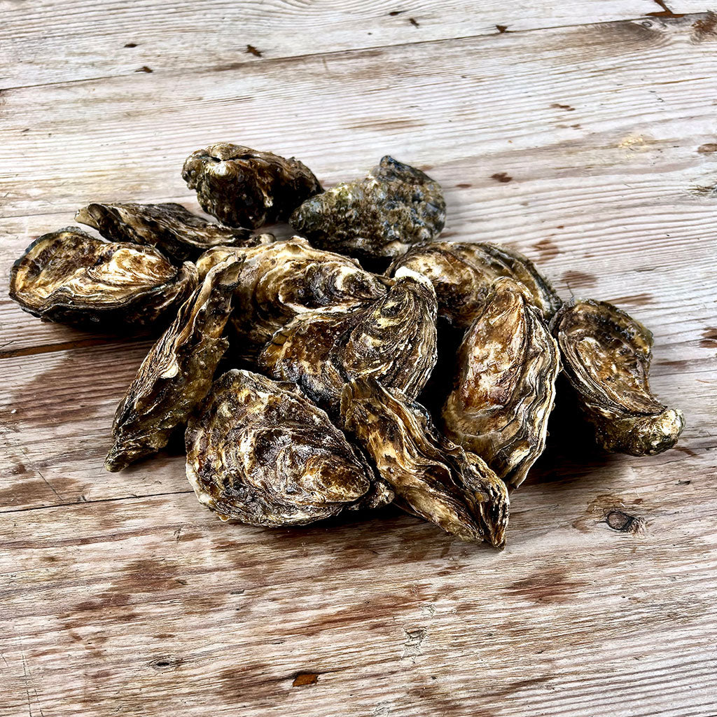 Oysters on a wooden surface