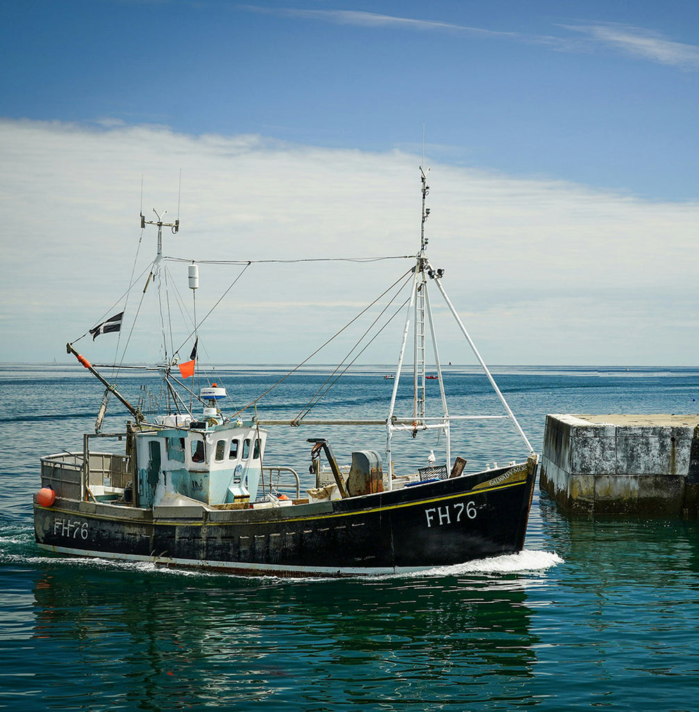 Fishing boat with 'FH76' on the side, sailing on calm water with a clear sky.