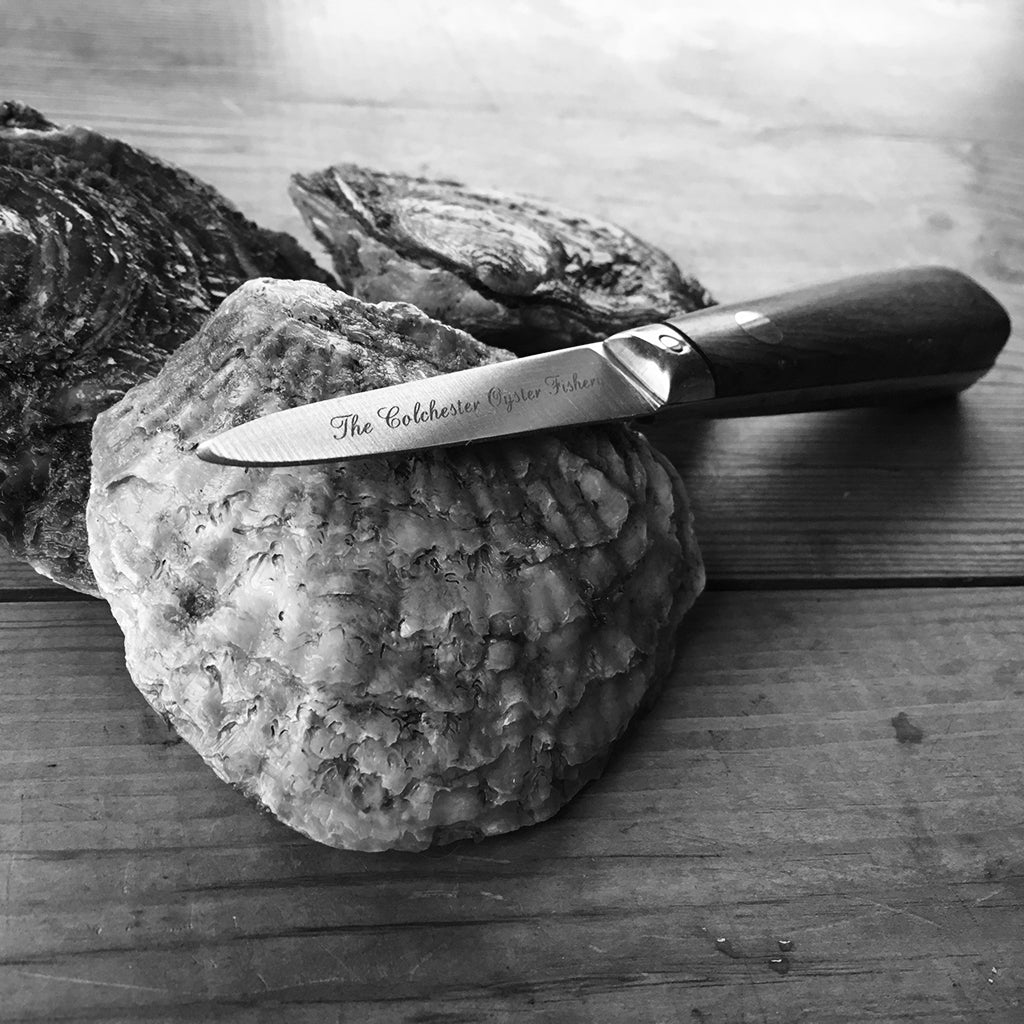 Oyster shucking knife on a rock with oysters in the background