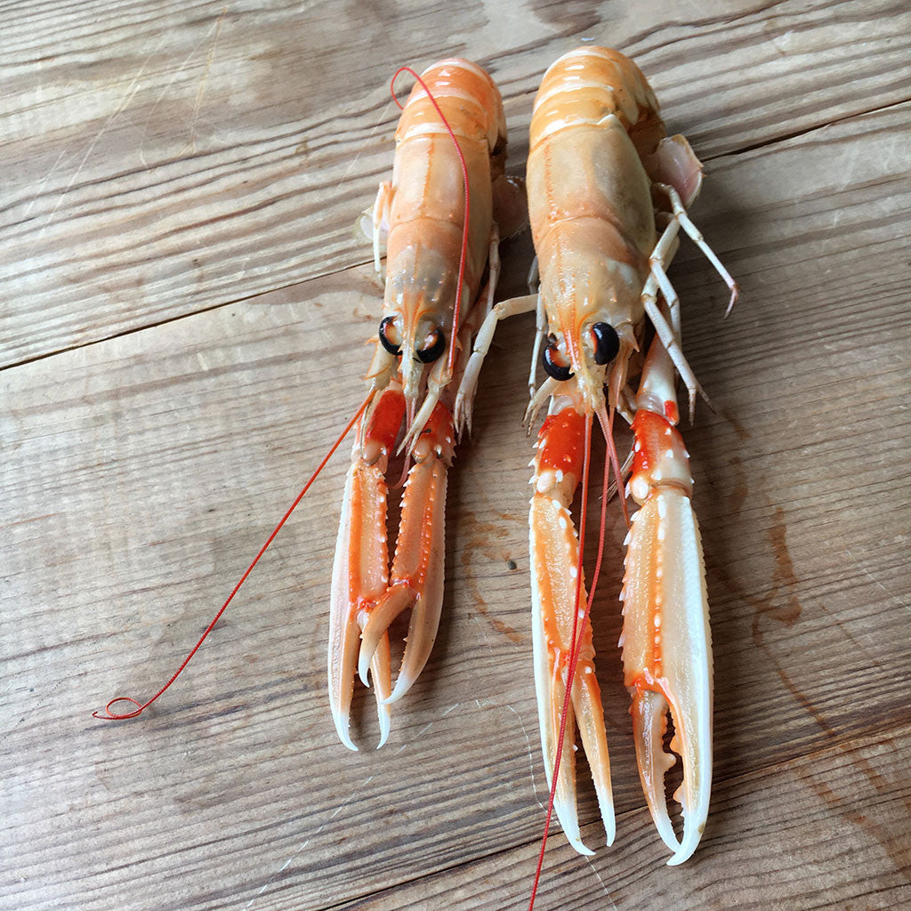 Langoustine