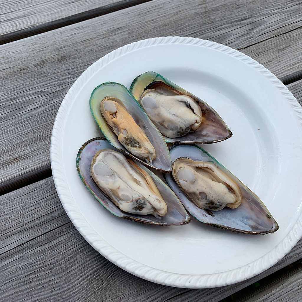 Half Shell Mussels