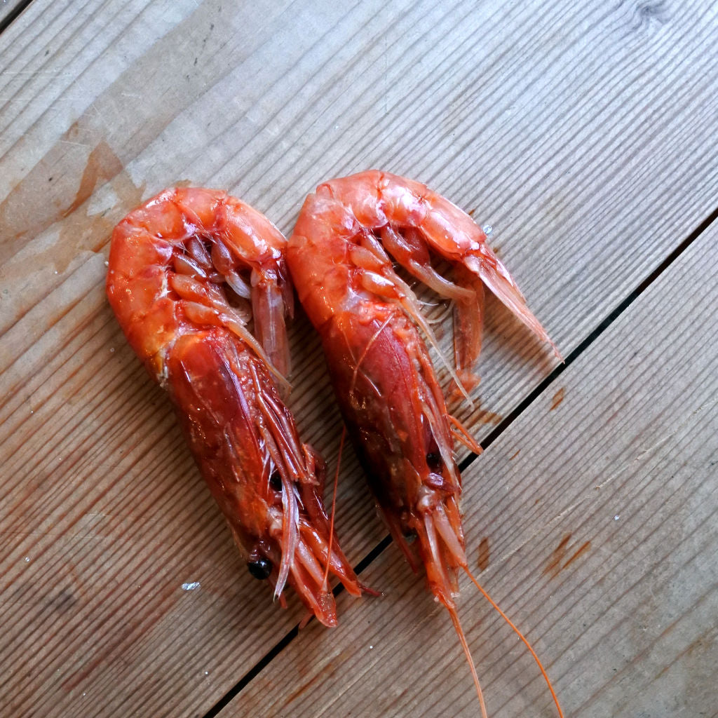 Overskyet Hest Falde sammen Argentine red prawns | Prawns | Seafood Delivery – Colchester Oyster Fishery